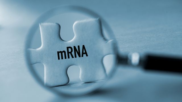 A magnifying glass hovering over a sign that reads "mRNA". 