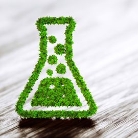 Conical flask shape made from greenery. 